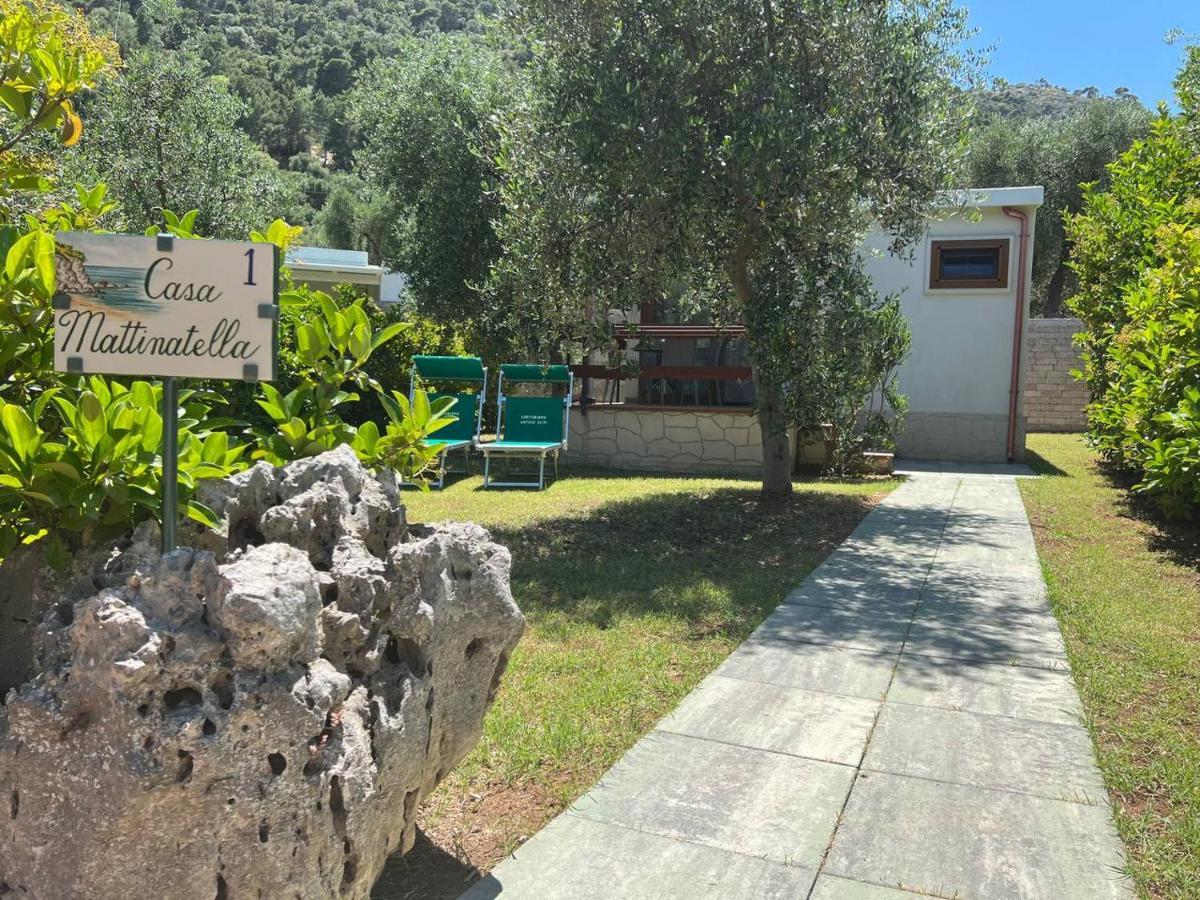 Agriturismo Antichi Ulivi 마티나타 외부 사진