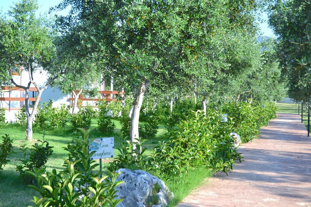 Agriturismo Antichi Ulivi 마티나타 외부 사진