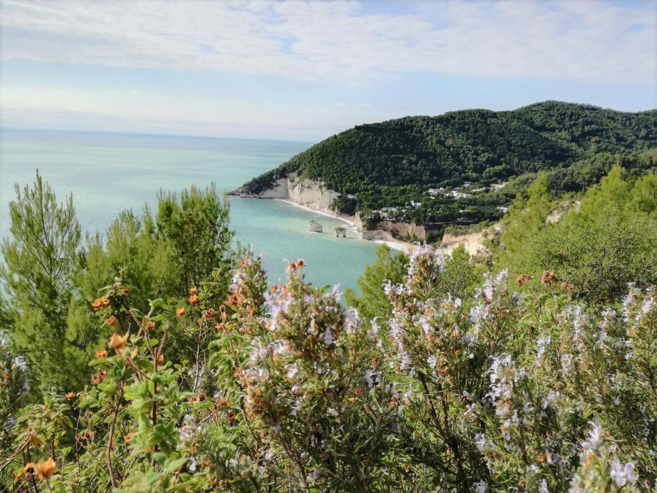 Agriturismo Antichi Ulivi 마티나타 외부 사진