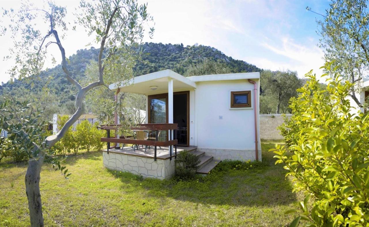Agriturismo Antichi Ulivi 마티나타 외부 사진